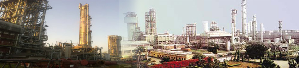 ১৯ ক্যাটাগরিতে নিয়োগ
